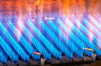 Darleyhall gas fired boilers